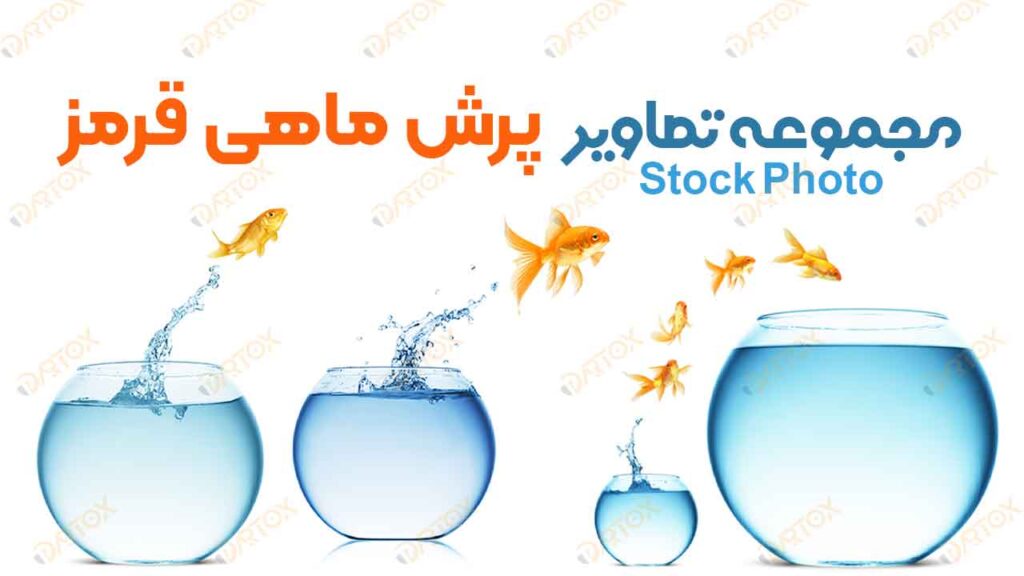 دانلود تصاویر استوک پرش ماهی از داخل ظرف شیشه ای